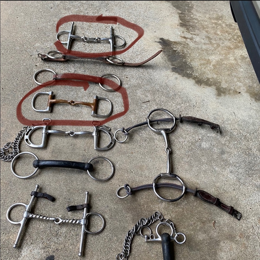 Snaffle + French link Full cheek